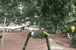 Brennan Park 250x165