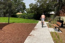 comment StoreyPark Hornsby Hornsby2  250x165