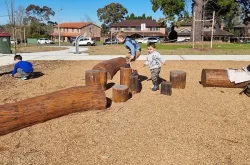Appletree Park Cherrybrook Climbing LOGS 250x165