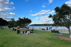 Balmoral Beach Playground grass 250x165