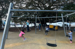 Balmoral Beach Playground swing 250x165