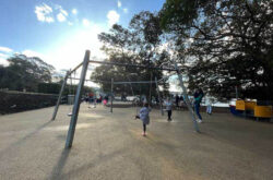 Balmoral Beach Playground swings 250x165