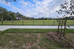 Bike track Hassal park 250x165