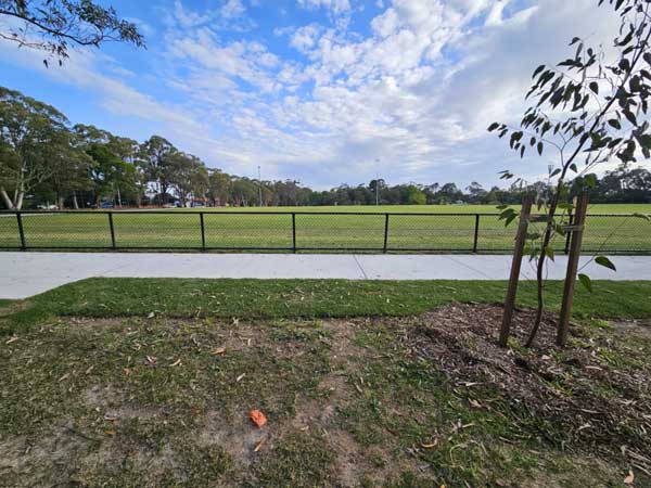 Bike track Hassal park