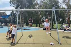 Storey Park Hornsby Swings Fun 250x165