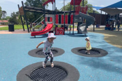 Storey Park Hornsby Trampoline 250x165