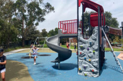 Storey Park Hornsby rock climbing 250x165