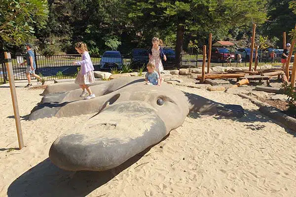 bobbin head playground platypus